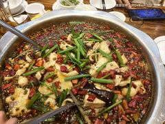 -乡土特色.冷锅鱼.牦牛肉汤锅