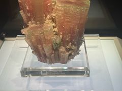 -安徽省地质博物馆