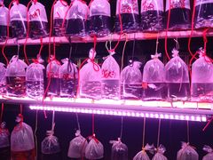 -中环花鸟鱼虫市场