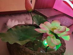 -渔乡米香·剁椒鱼头(四方坪店)