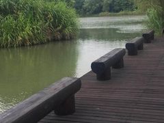 -梁鸿国家湿地公园