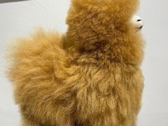 -DK45丹麦家居生活馆·依诺维绅(798店)