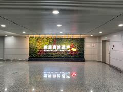 -张家界荷花国际机场