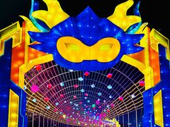 -沈阳奥体冰雪嘉年华