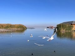 -乌梁素海景区