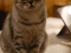 -隅cafe(傅厚岗店)