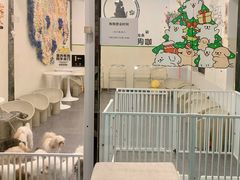 -有喵·猫咖·狗咖·30几只猫10只小狗(岗厦店)