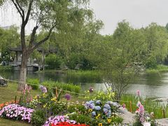 -武汉园博园(武汉自然博物馆)