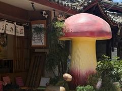 -菌自由丨野生菌火锅特色庭院餐厅(丽江古城店)