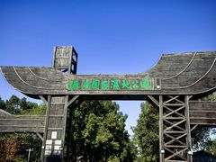 -溱湖国家湿地公园