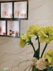 -东英经典SKIN&SPA