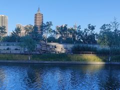 -西海子公园
