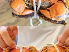 -蟹天蟹地农家菜·阳澄湖大闸蟹(浅水湾店)