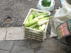 -名花谷生态庄园