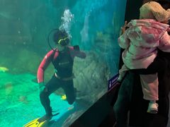 -烟台海昌鲸鲨海洋公园