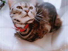 -小时光咖啡馆(北锣鼓巷店)