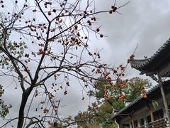 -塔川景区