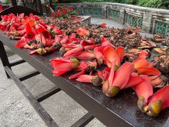 -中山詹园