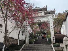 -乌山风景区
