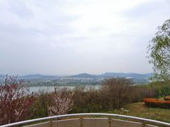 -羊山湖公园