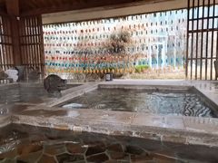 -中家鑫园温泉酒店鑫悦汤泉