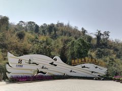 -西双版纳原始森林公园