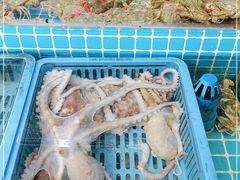 水产区-老东镇啤酒屋海鲜加工·蒸汽海鲜·海鲜烧烤(台东店)