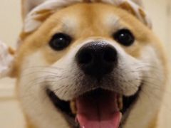 -湘汇概念铁板烧(铁西万达店)