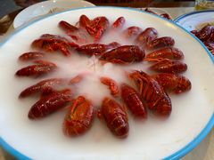 -杨氏青龙虾·羊蝎子(珠江路店)