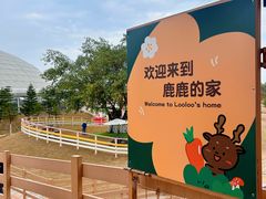 -盈香心动乐园