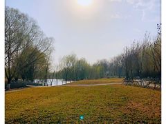 -长白岛森林公园