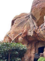 -翱翔飞越地平线