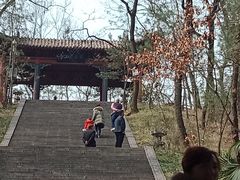 -武侯墓风景区