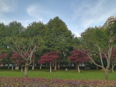 -辛亥革命博物院北区