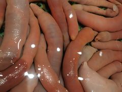 -映像威海·海鲜味道(经区店)