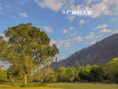 -南沙蒲洲花园