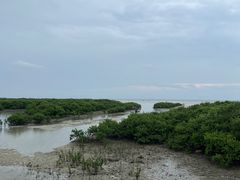 -北海金海湾红树林生态旅游区