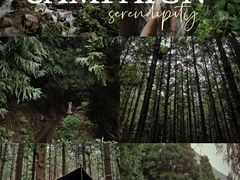 -重庆睡佛山森林公园