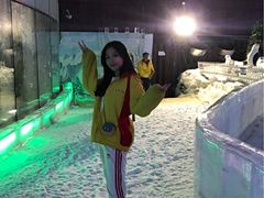 -世界之窗阿尔卑斯冰雪世界