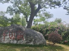 -羊山湖公园