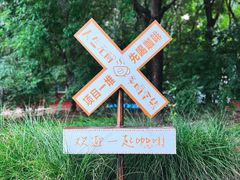 -朝阳公园