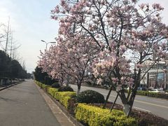 -陈武帝故宫