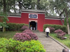 -子昂故里文化旅游区