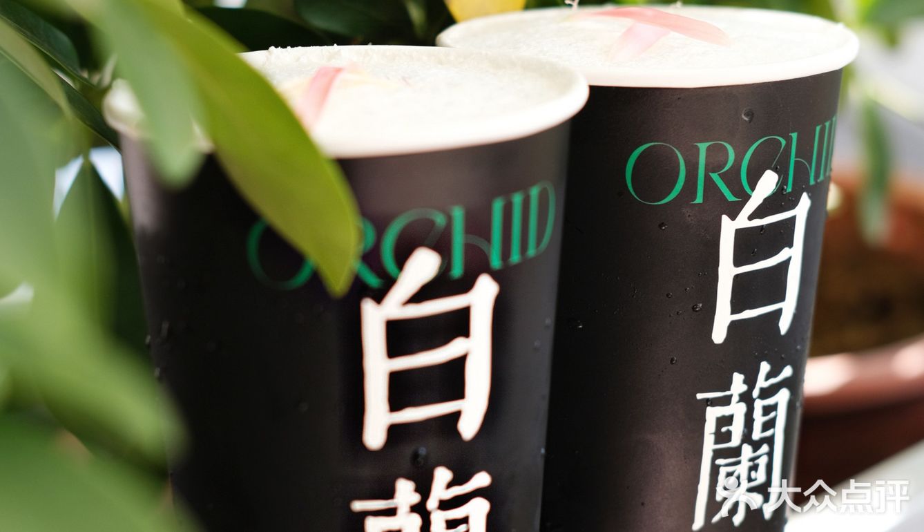 茉莉奶白新品白兰与苍兰诀|我都爱了