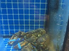 -碧海银沙海鲜餐厅(恒大海上威尼斯店)