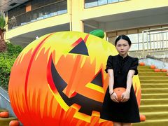 -灵玲国际马戏城