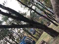 -东湖磨山景区