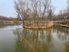 -西安浐灞国家湿地公园