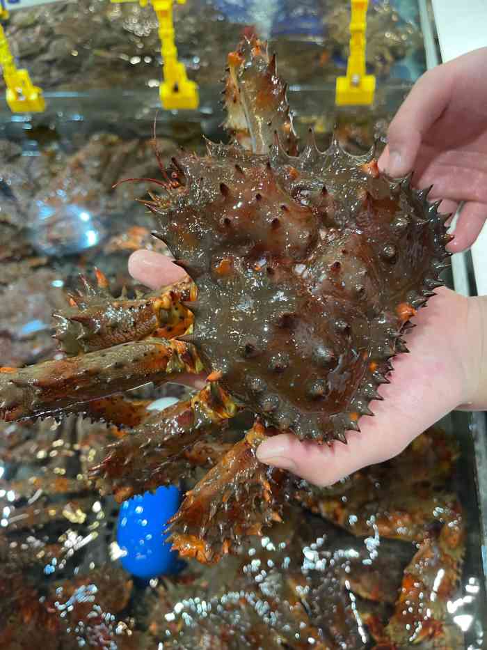 79号渔船海鲜饭店(龙华店)-"[薄荷]环境: 在壹方天地b区,还是比较.