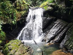 -江西阳明山国家森林公园